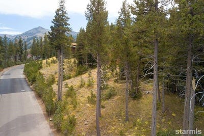 /international/us/34030-fremont-rd-kirkwood-ca-110107258834/