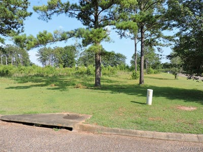/international/us/lot-g1-longleaf-lane-greenville-al-110085409571/