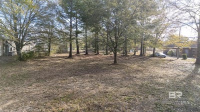 /international/us/austin-road-lot-1-daphne-al-110108539888/