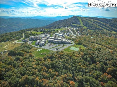 /international/us/301-pinnacle-inn-road-beech-mountain-nc-110106368317/