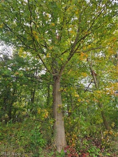 /international/us/gar-highway-montville-oh-110120418044/