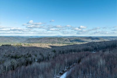 /international/us/higley-hill-road-lot-4-dover-vt-110100334166/
