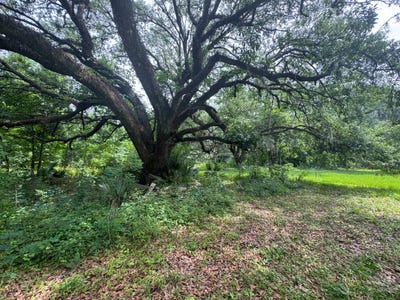 /international/us/tbd-michel-rd-belle-river-la-110108539341/