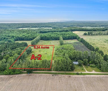 /international/us/6-24-acres-w-tyler-road-mears-mi-110100478607/?lang=zh-cn