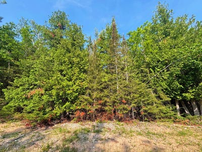 /international/us/395-396-balsam-drive-presque-isle-mi-110100949400/?lang=zh-tw