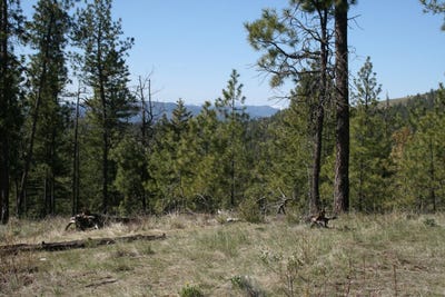 /international/us/6171-coyote-canyon-rd-fruitland-wa-110120038423/