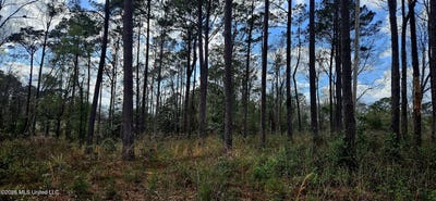 /international/us/us-11-poplarville-ms-110106174214/