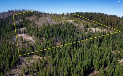 /international/us/dan-e-trail-mad-river-ca-110094492265/