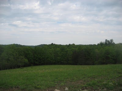 /international/us/003-buckler-lane-olive-hill-ky-110099325988/