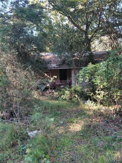 /international/us/11647-ivory-lane-cottondale-al-110110272057/