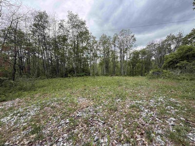 /international/us/1154-brady-gate-road-valley-head-wv-110108074653/