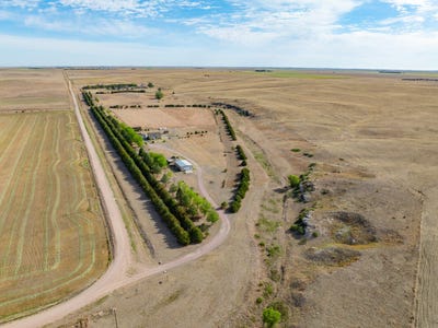 /international/us/2801-road-121-sidney-ne-110108684212/