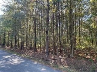 /international/us/0-big-lake-road-pineville-la-110101360508/