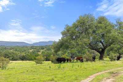 /international/us/9069-47-ranch-road-1323-fredericksburg-tx-110101049824/
