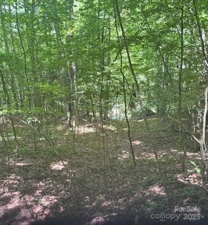 /international/us/00-macs-mountain-retreat-lane-franklin-nc-110100862040/?lang=zh-tw