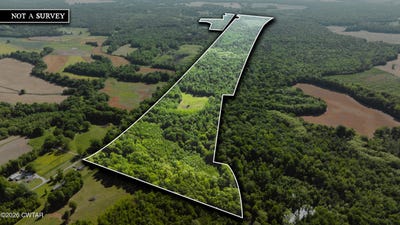 /international/us/beech-bluff-road-beech-bluff-tn-110107584310/