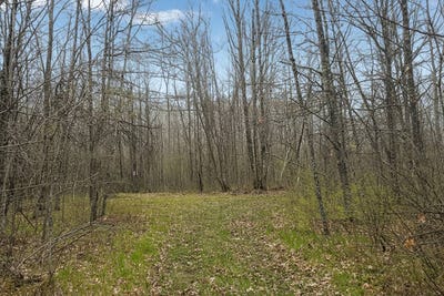 /international/us/555-pierce-homestead-road-trego-wi-110104914328/