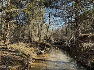 /international/us/lot-16-duvall-rd-caneyville-ky-110099408038/?lang=zh-tw