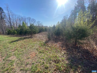 /international/us/aldridge-ln-scottsville-va-110106979439/