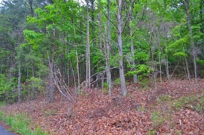 /international/us/8805-terrace-falls-drive-soddy-daisy-tn-110103575075/