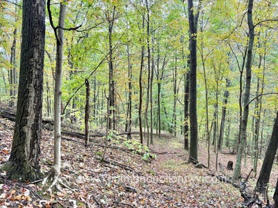 /international/us/0-jesse-run-rd-arnoldsburg-wv-110108567343/