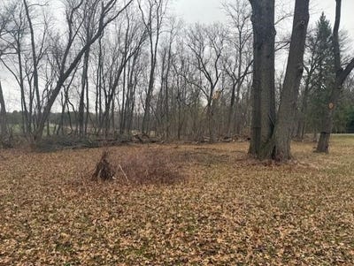 /international/us/twin-lane-road-lot-2-marshall-wi-110106982828/