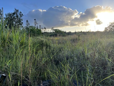 /international/us/16-1272-koloa-maoli-rd-mountain-view-hi-110103121585/