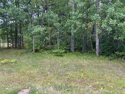 /international/us/lot-77-airport-road-breezy-point-mn-110106040007/