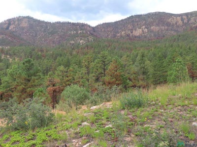 /international/us/1045-ac-ctc-ranch-canyon-road-mora-nm-110077132609/