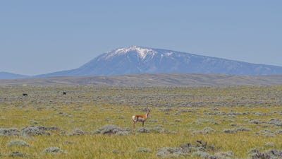 /international/us/1838-county-road-3-medicine-bow-wy-110108853515/
