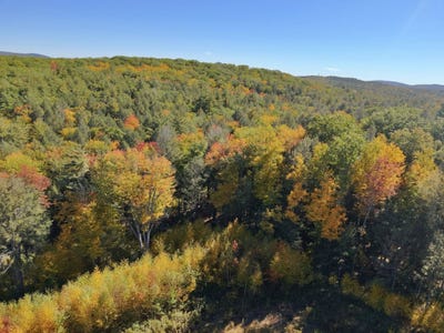 /international/us/fort-dummer-heights-lot-2-brattleboro-vt-110080449627/