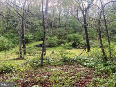 /international/us/sidling-hill-creek-road-little-orleans-md-110108024324/