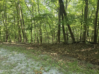 /international/us/16-trentwood-terrace-crossville-tn-110101057264/?lang=zh-cn
