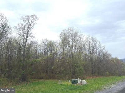 /international/us/lot-10-ridge-way-drive-everett-pa-110100524133/?lang=en