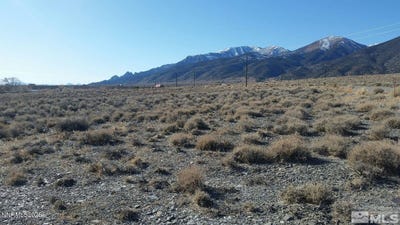 /international/us/102-ophir-road-austin-nv-110100217330/