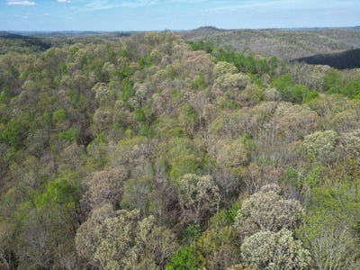 /international/us/000-spice-ridge-road-procious-wv-110107377282/