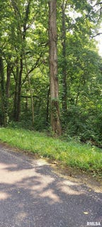 /international/us/0-w-bristol-hollow-road-dunlap-il-110101292490/?lang=pt