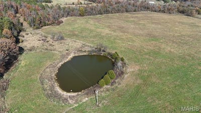 /international/us/county-rd-700-ellington-mo-110104435638/