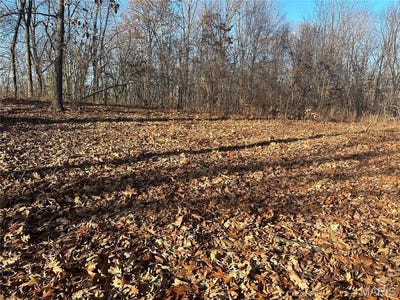 /international/us/34-wagon-creek-loop-creal-springs-il-110098954869/