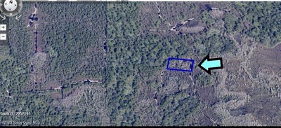 /international/us/none-unknown-grant-fl-110100372694/?lang=zh-tw