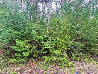 /international/us/sunaqua-drive-lot-229-presque-isle-mi-110101528550/