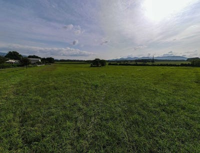 /international/us/marcus-st-shenandoah-va-110109488837/