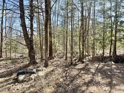 /international/us/lot-1-valley-east-sub-south-main-street-morrill-me-110098928129/