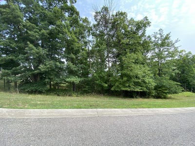 /international/us/summit-dr-lot-59-rocky-mount-va-110101454773/