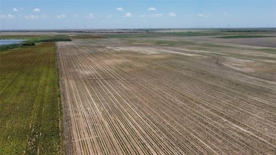 /international/us/338-acres-fm-617-no-city-tx-110099162042/?lang=en