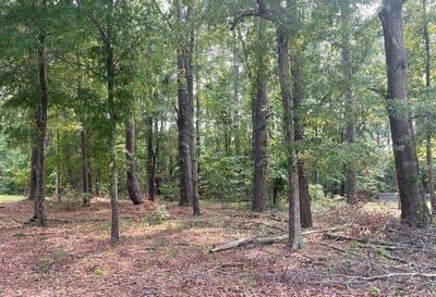 /international/us/0-gin-pond-drive-summerton-sc-110099892287/?lang=zh-tw