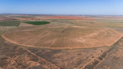 /international/us/552-tx-83-seagraves-tx-110101517185/