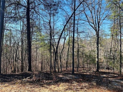/international/us/lot-20-crown-mountain-way-dahlonega-ga-110101164765/?lang=zh-cn
