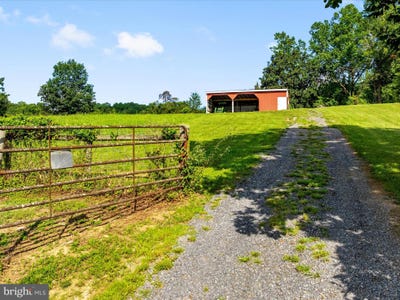 /international/us/senedo-mount-jackson-va-110101255844/