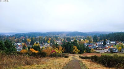 /international/us/mt-david-cottagegrove-or-110103318537/